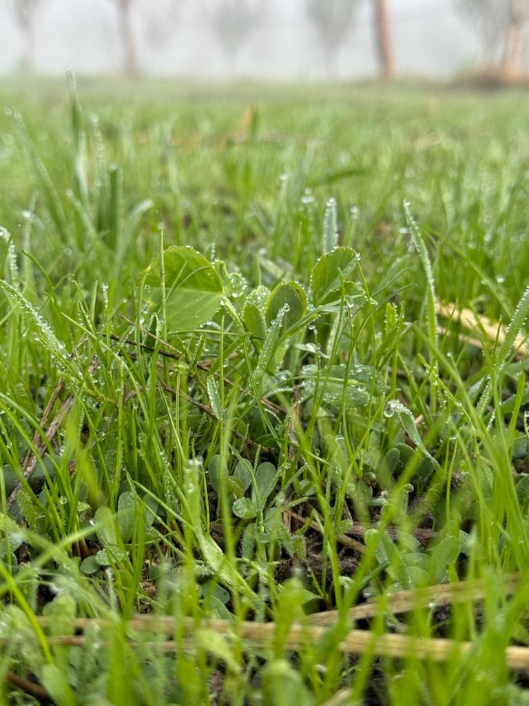 Dec 2024 covers close up